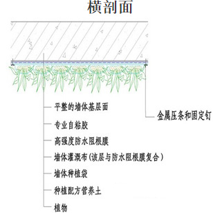 缓坡屋顶绿化(坡度5度-15度之间）